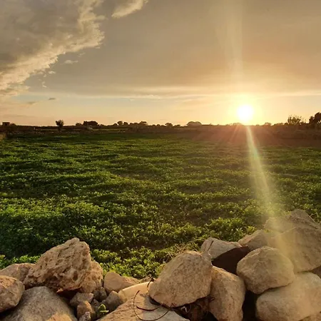 Apartmán Carousel *