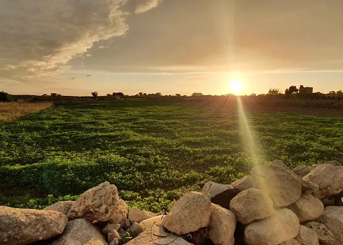 Apartment Carousel *